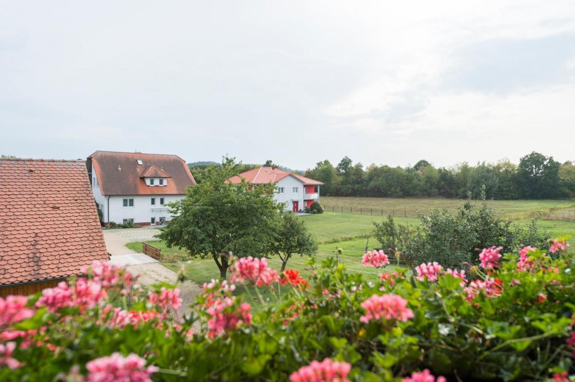 Гостевой дом Gasthaus-pension Hofmann